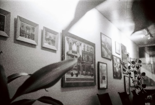 A wall adorned with framed artwork, including both photographs and paintings, displayed in various sizes. A plant with visible leaves is positioned in the foreground to the left, adding an element of nature to the indoor setting.