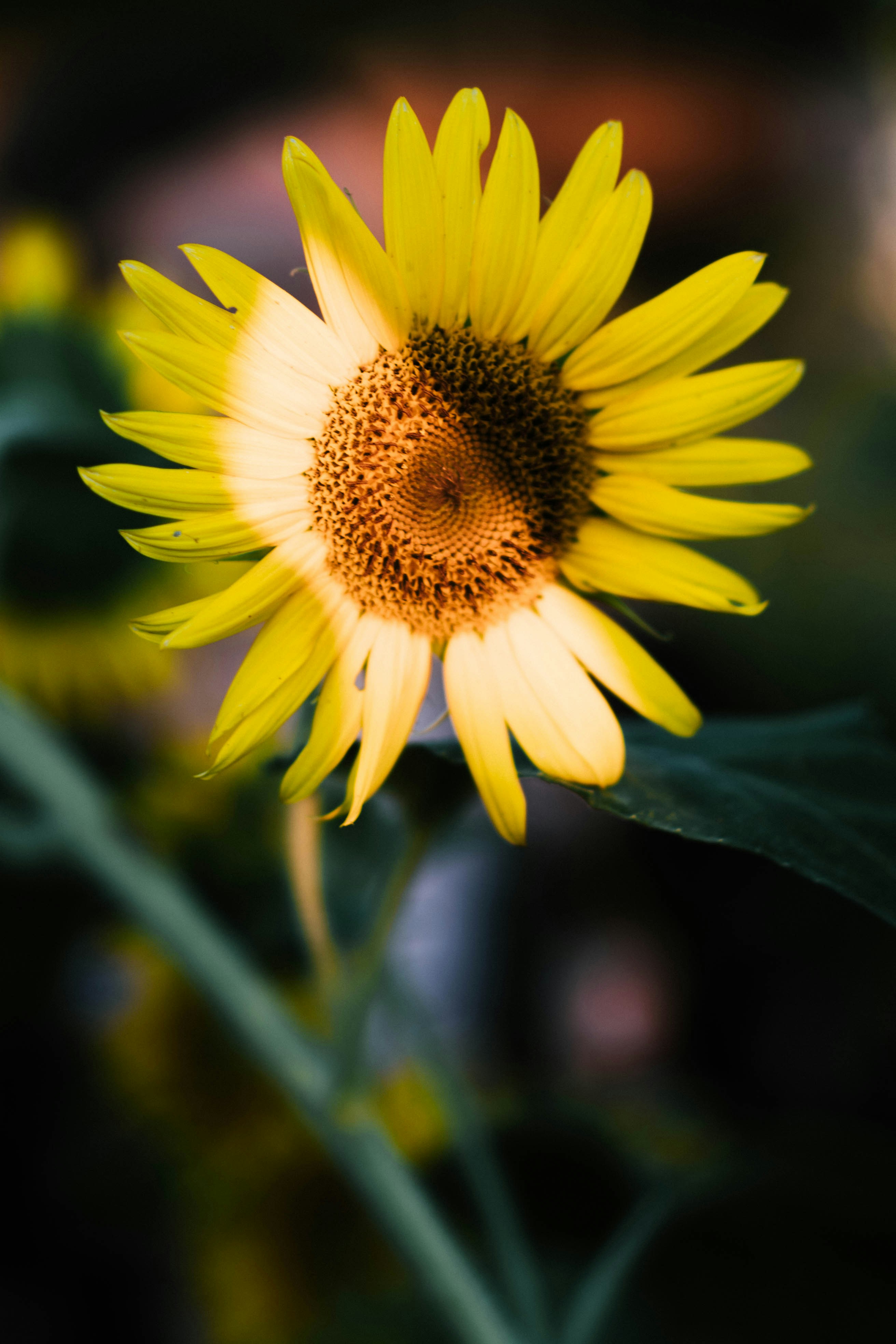 Photo by austin__ramsey