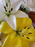 A close-up of fresh lilies and orchids artfully arranged for an event centerpiece