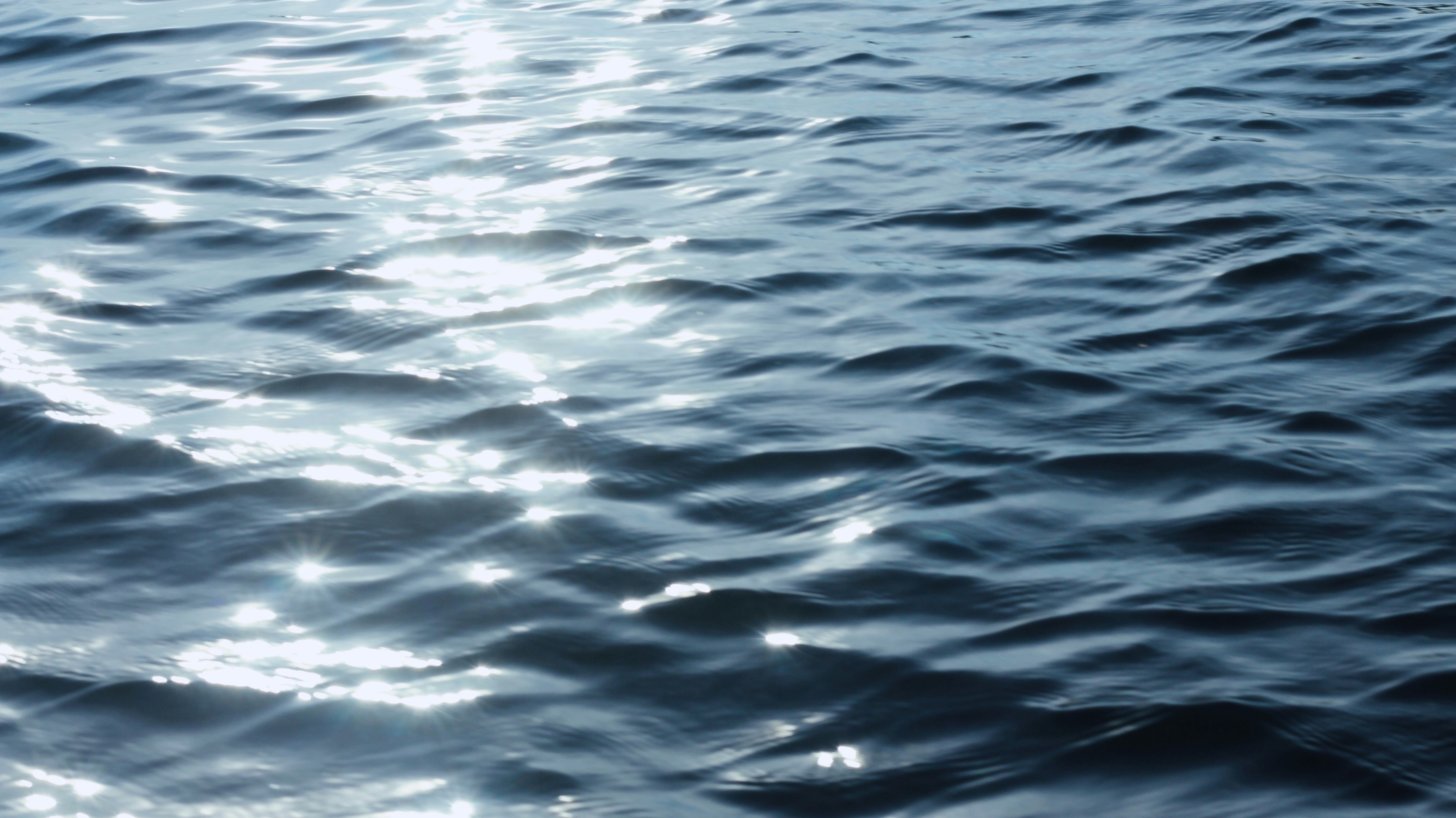 Photo by sophieskold