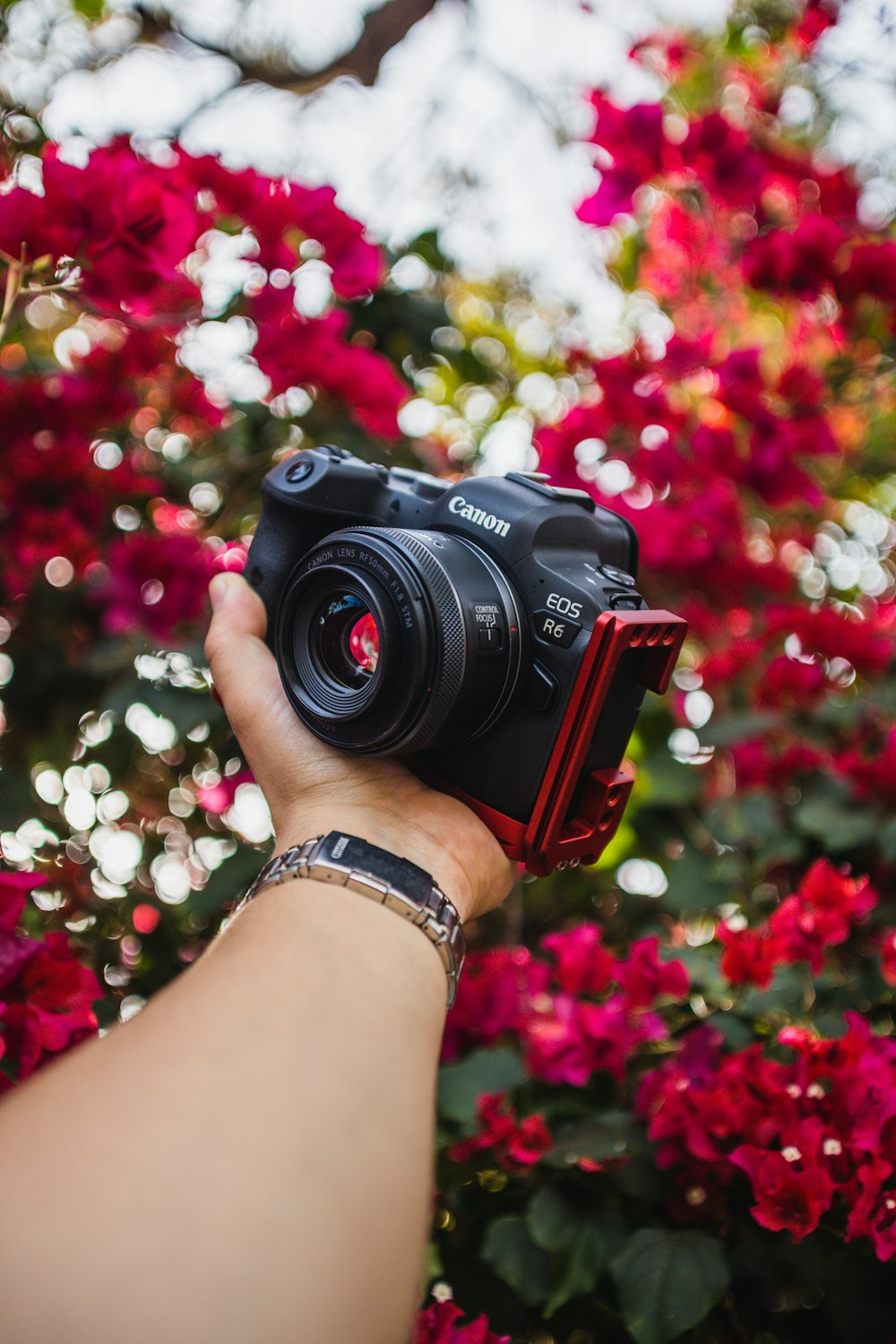 person holding black nikon dslr camera