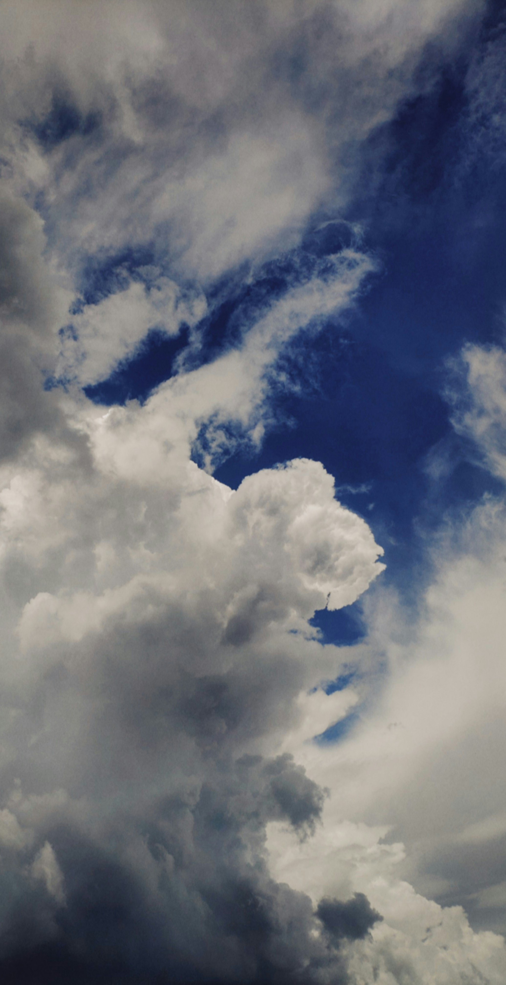 Photo by phoenix2_03