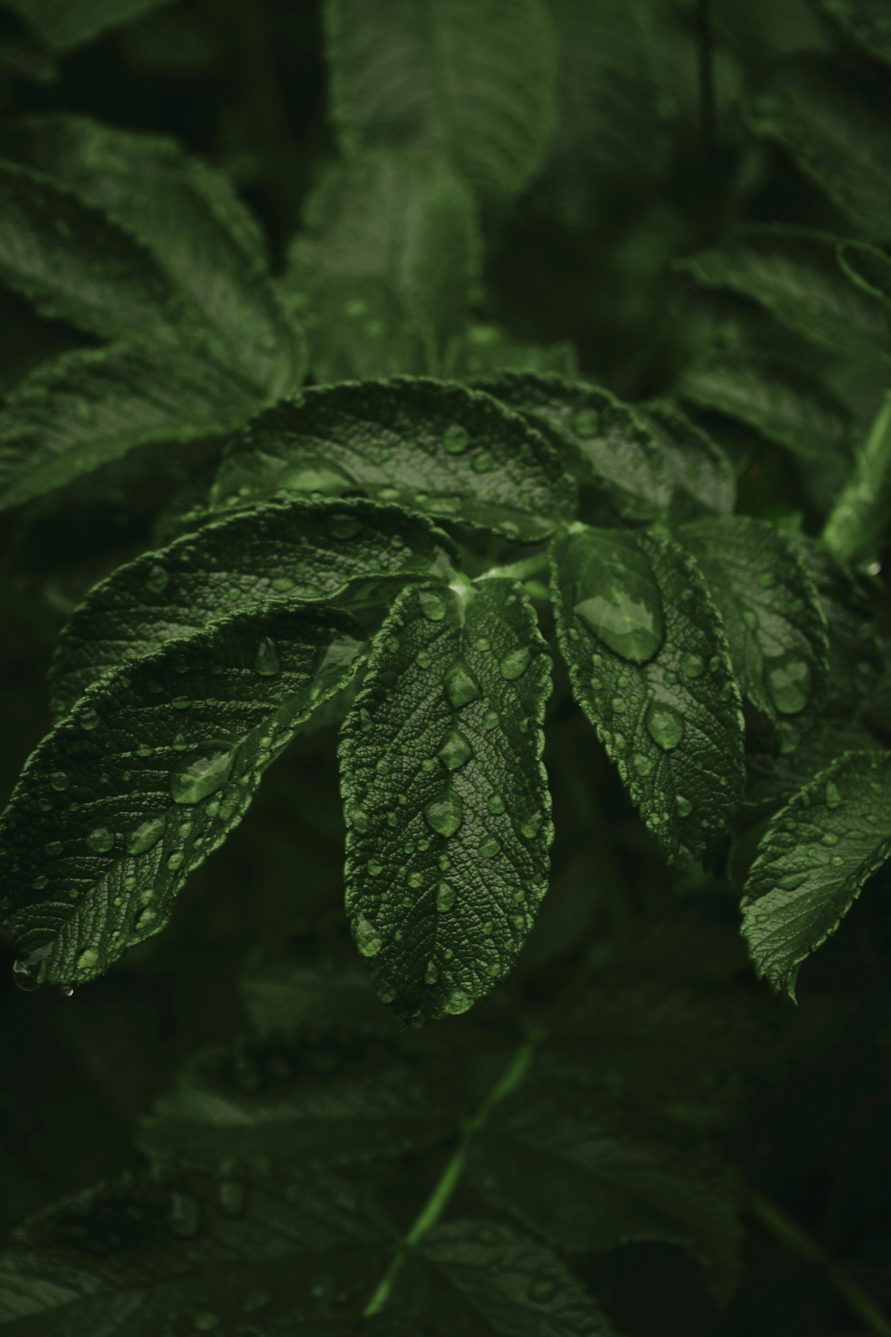 Photo by annijajansone