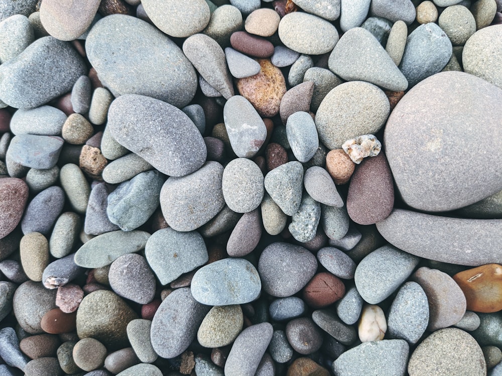 Graue und weiße Kieselsteine auf grauen und schwarzen Steinen