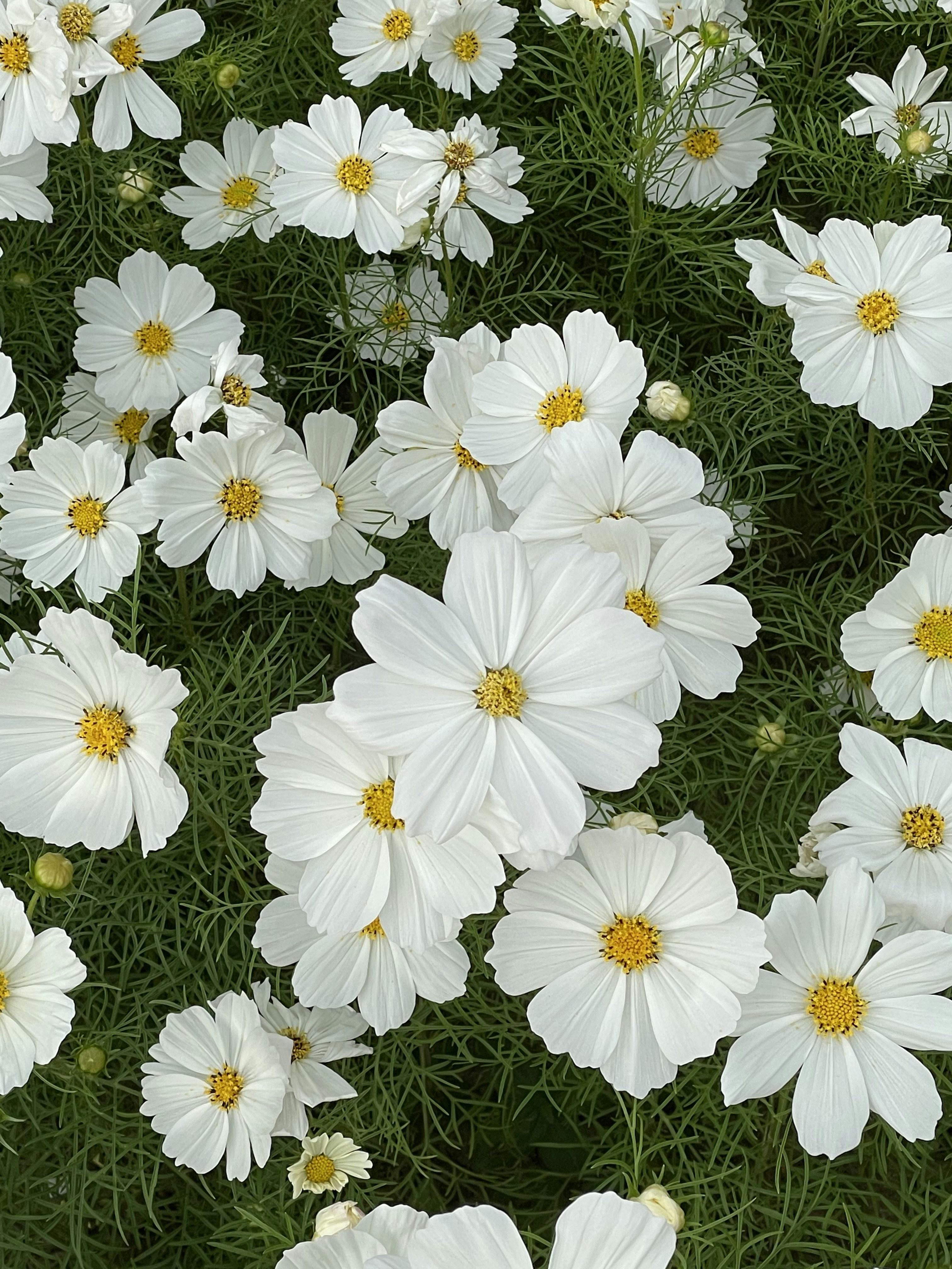 Photo by zhonglimozi