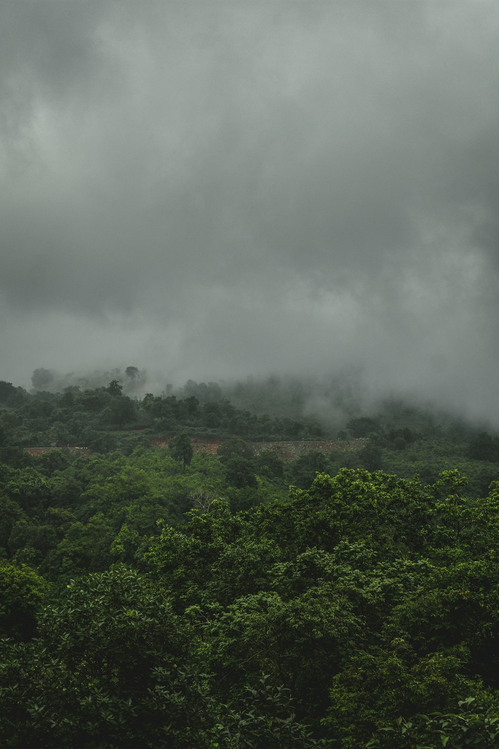 green trees under white clouds