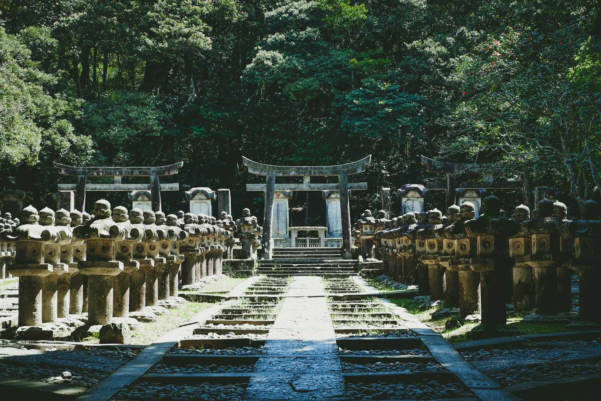 What to See in Hagi: A Tranquil Travel Guide