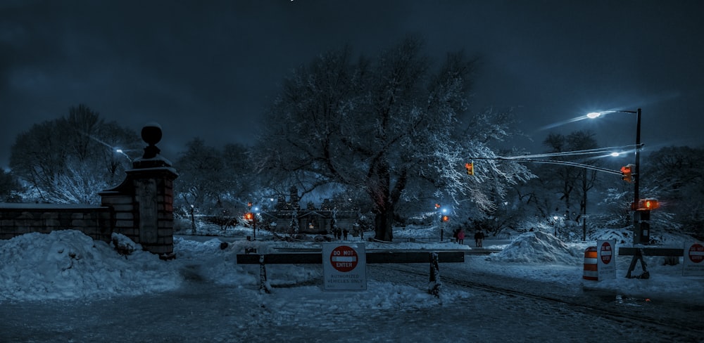 rot-weißes Stoppschild in der Nähe von Bäumen während der Nachtzeit