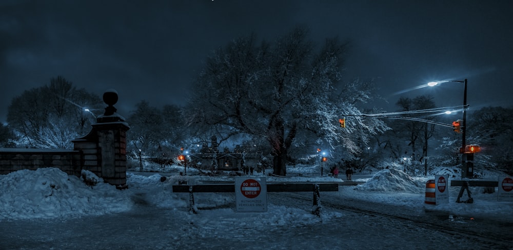 red and white stop sign near trees during night time