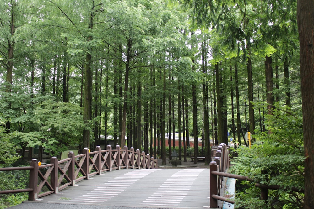 昼間は緑の木々に囲まれた灰色の木の小道に茶色の木製のベンチ