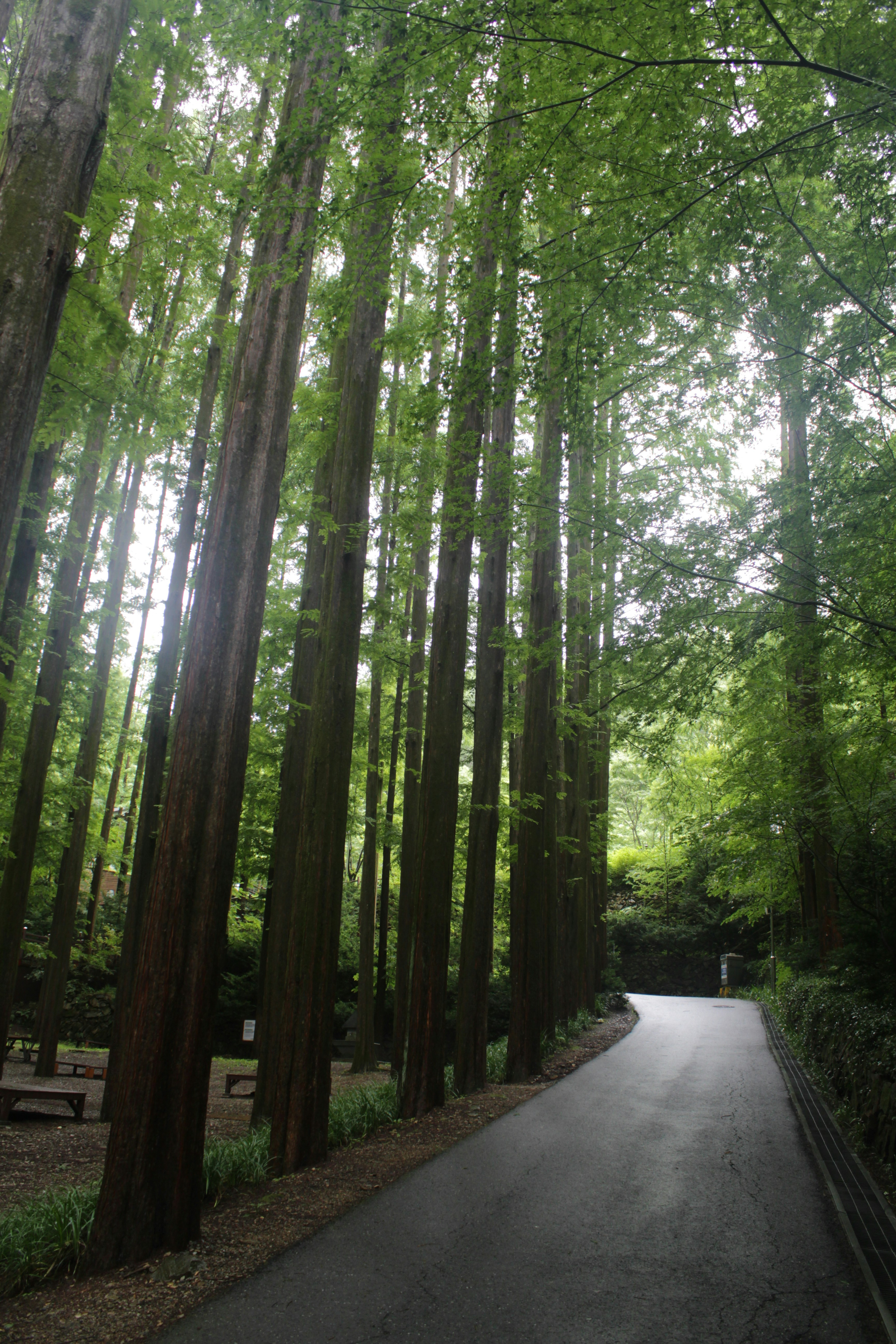 Photo by drewbae0505