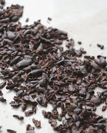 black and brown seeds on white ceramic plate