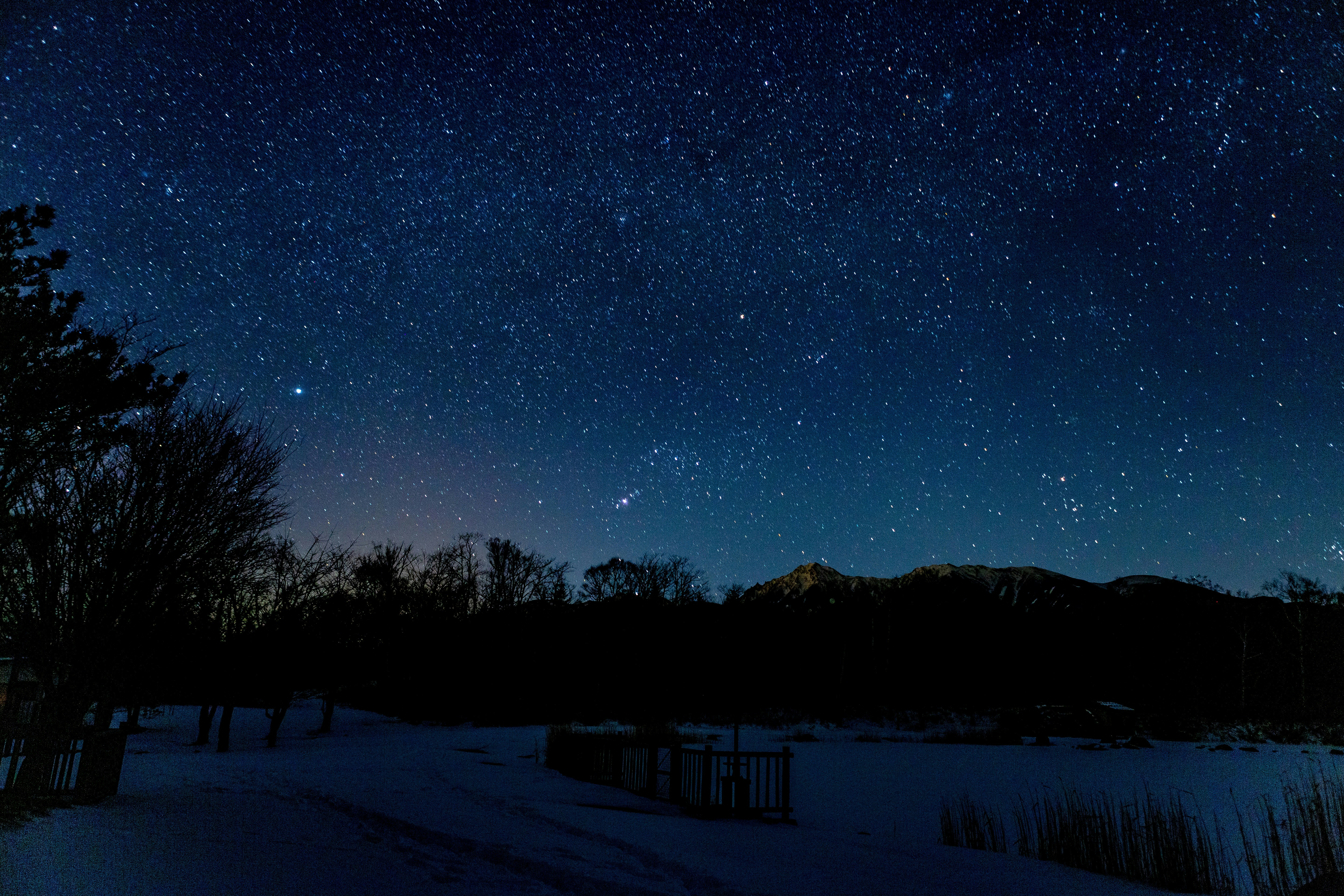 Photo by warawareotoko