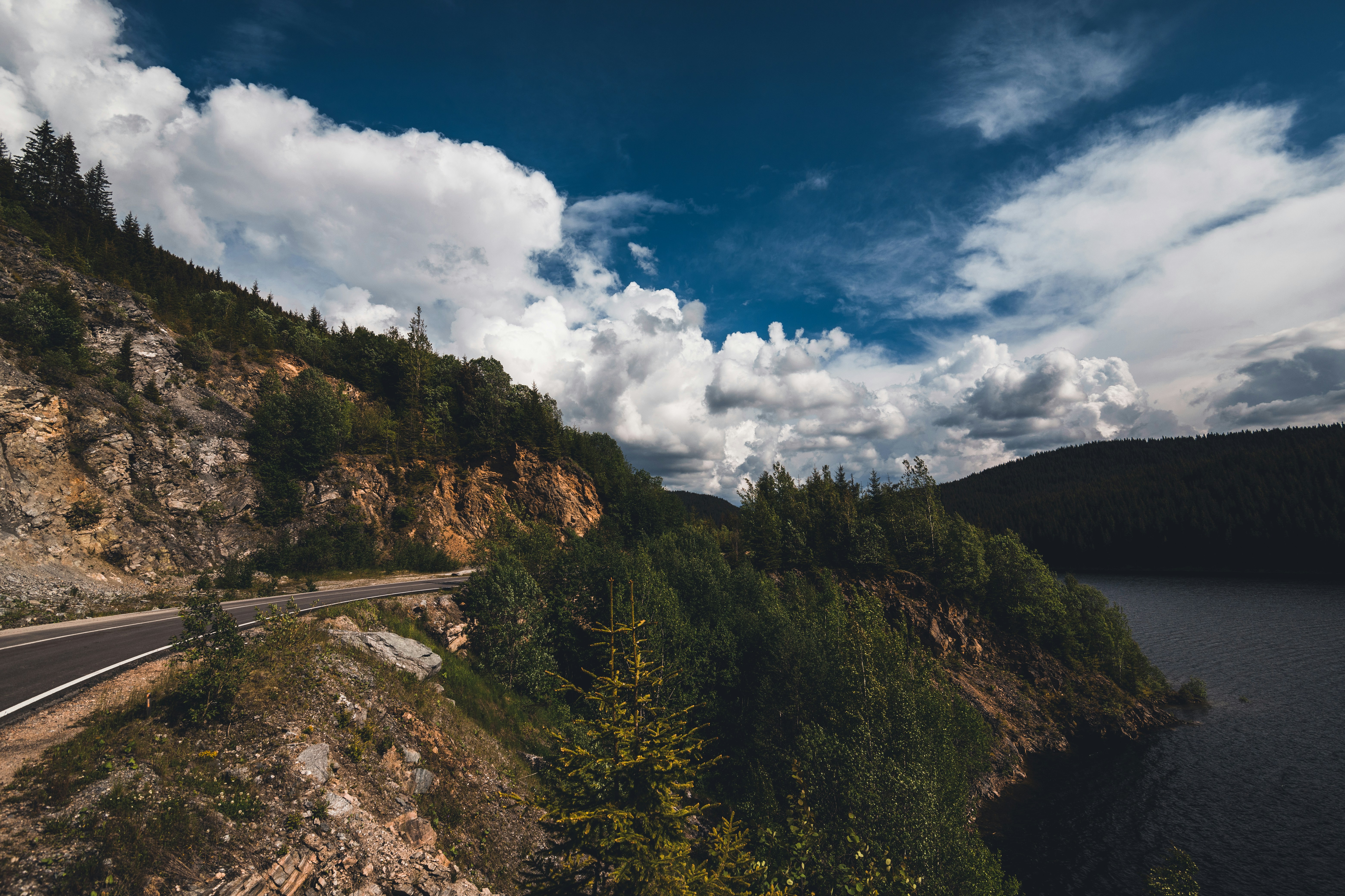 Photo by dumitrasconiudesign