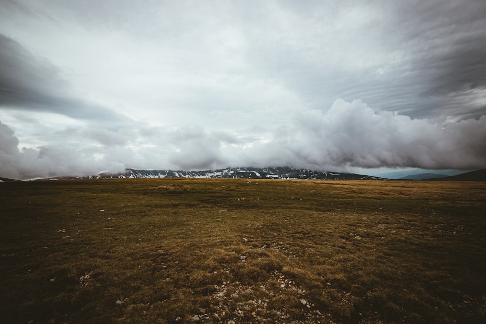 brown field under white clouds during daytime