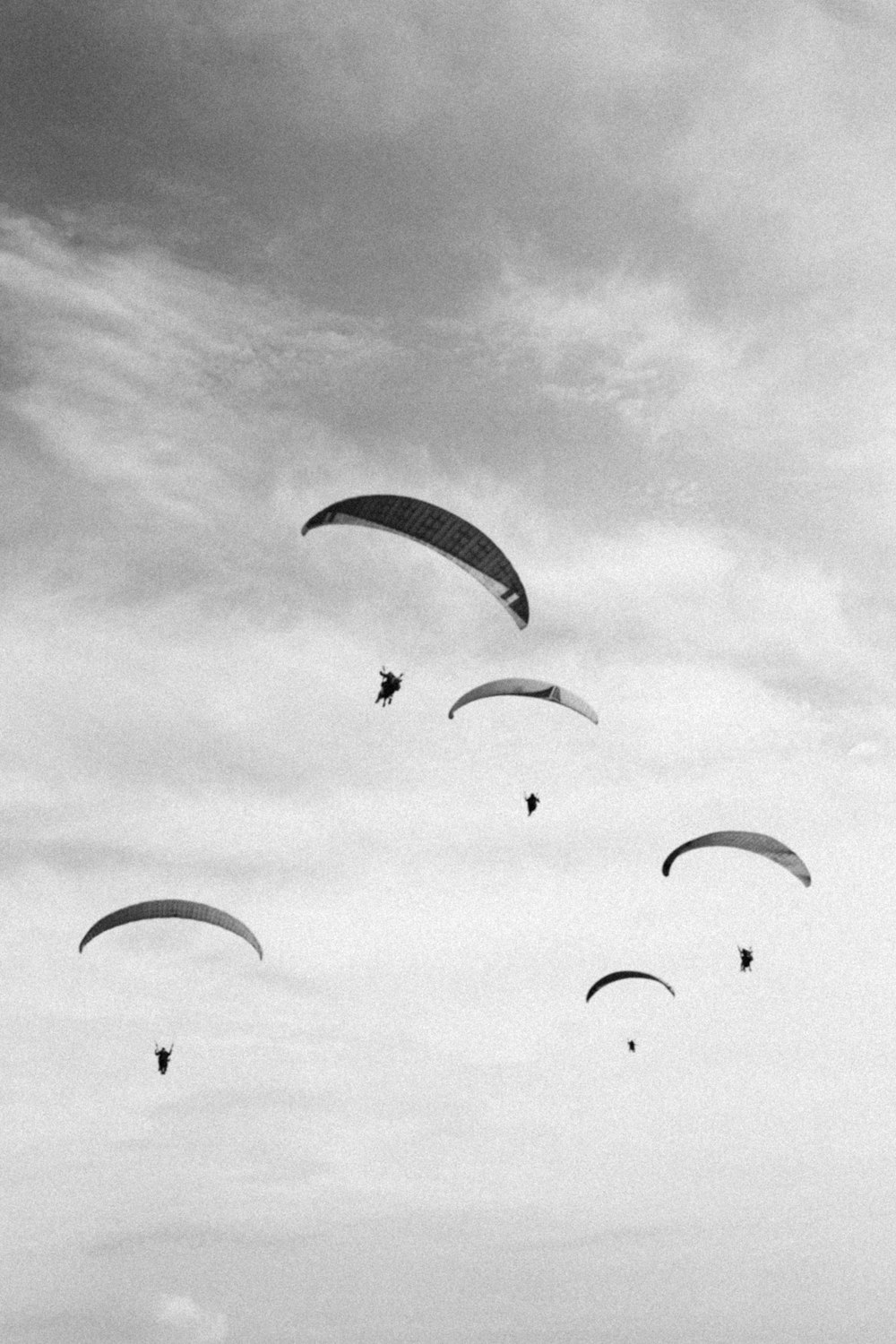 grayscale photo of people riding parachute