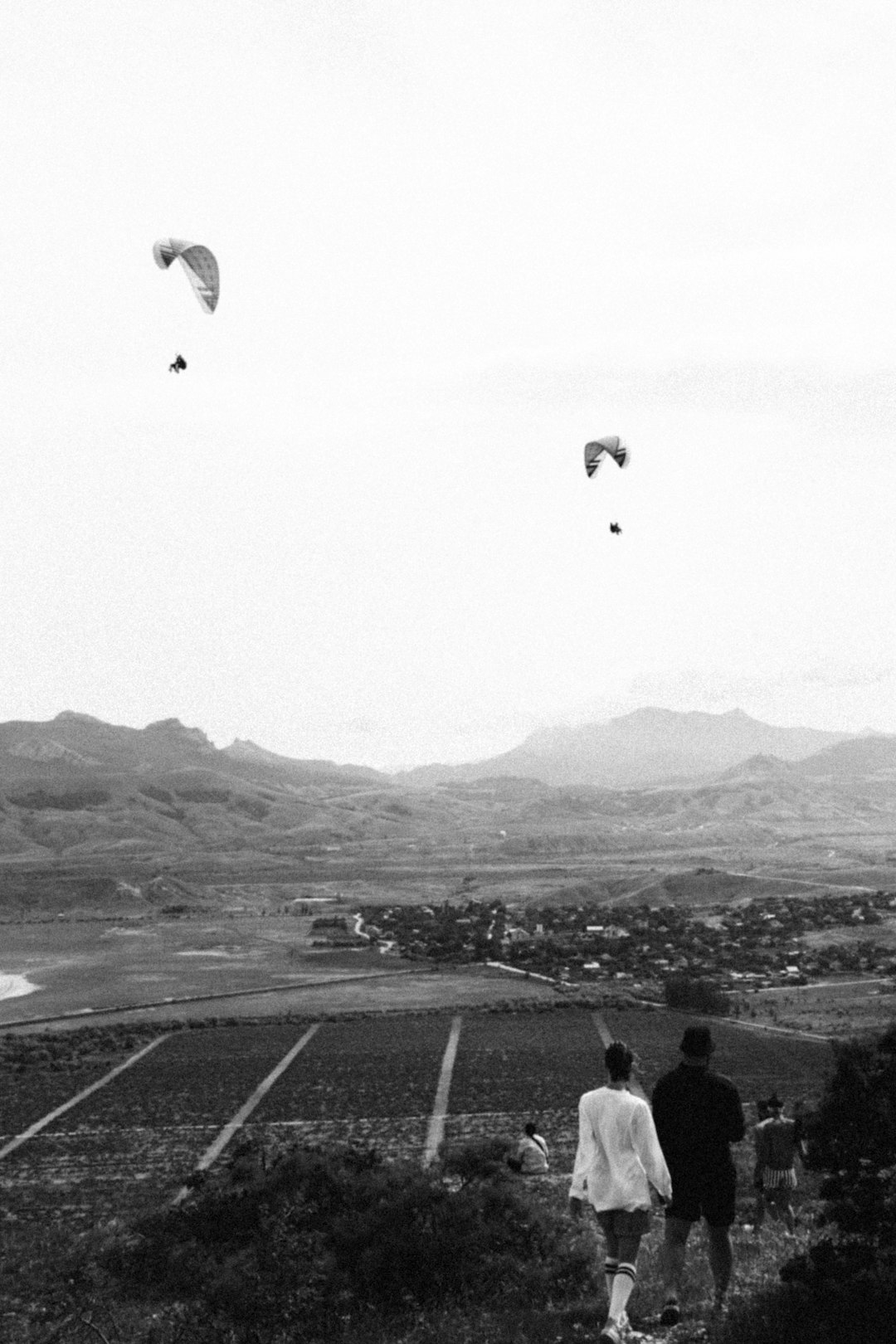 grayscale photo of people on a field with a bird flying over the mountains