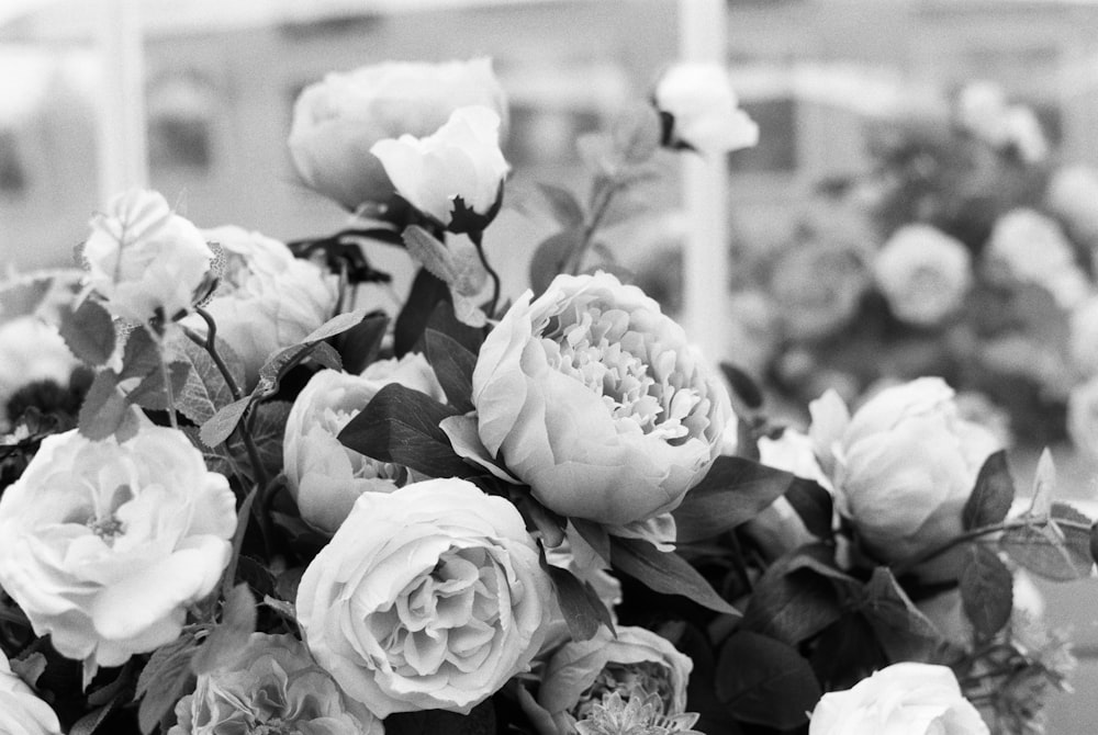 greyscale photo of roses in bloom