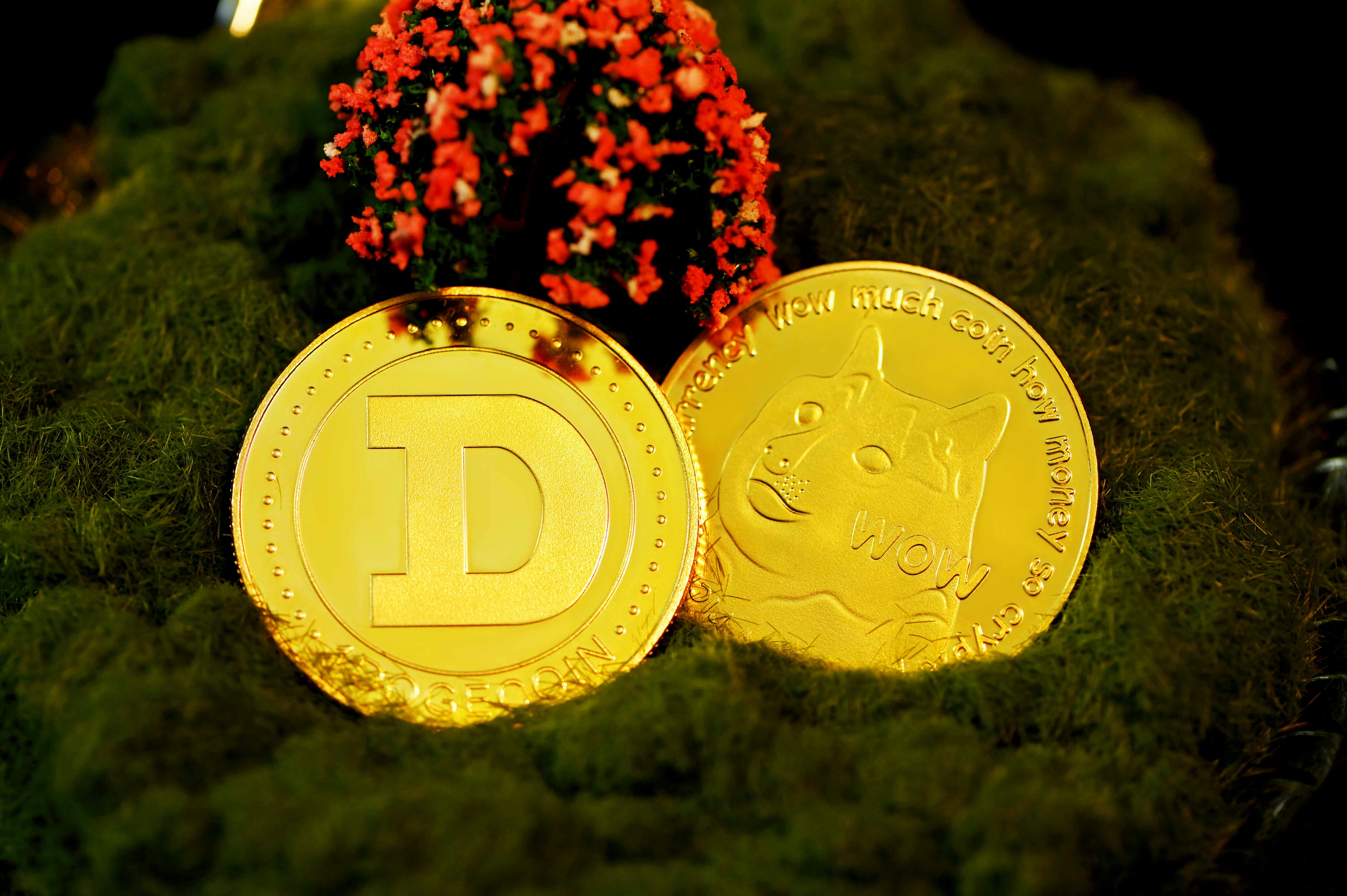 Dogecoins on grass underneath red flowers