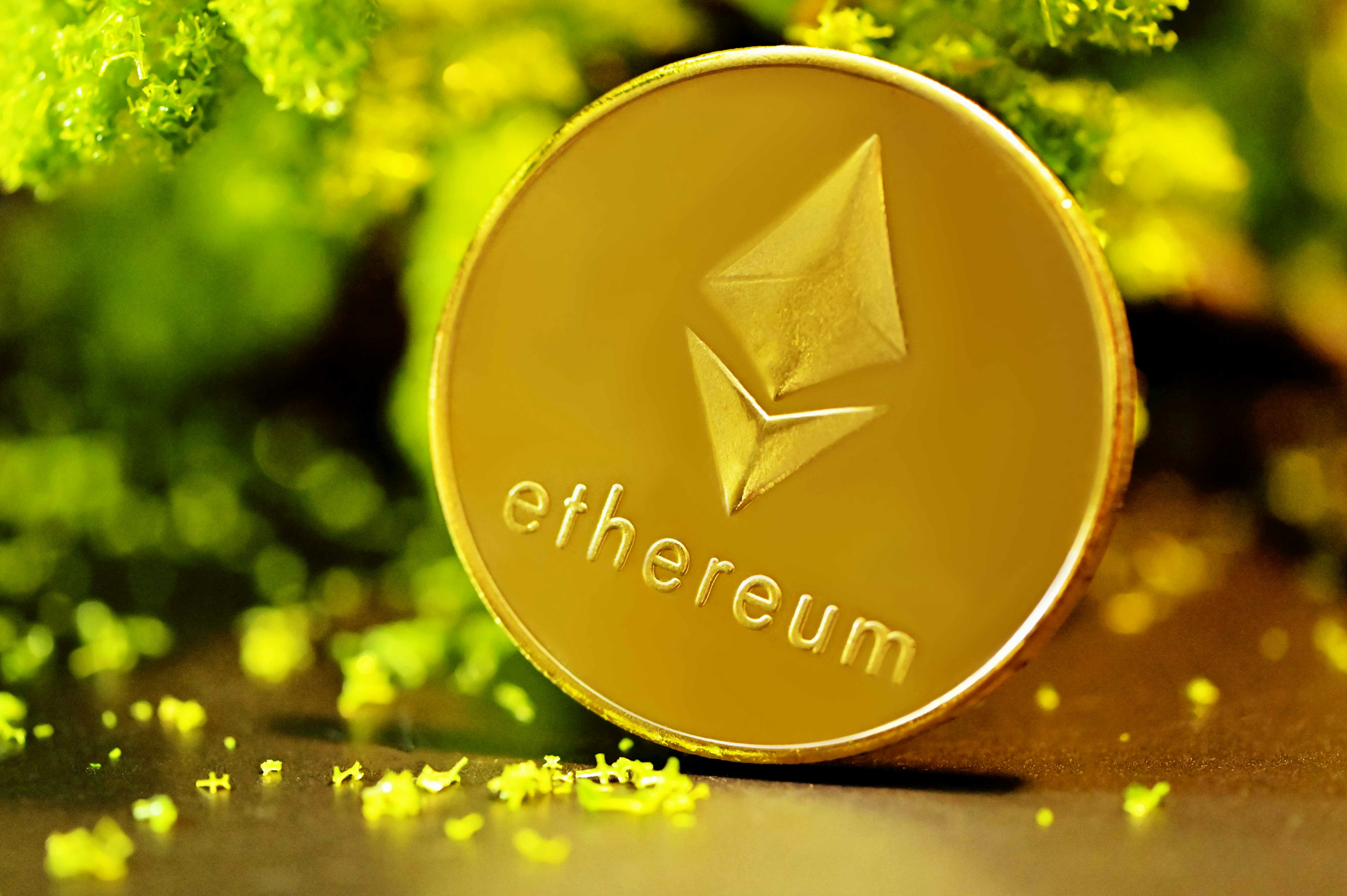 An Ethereum coin underneath a tree branch.