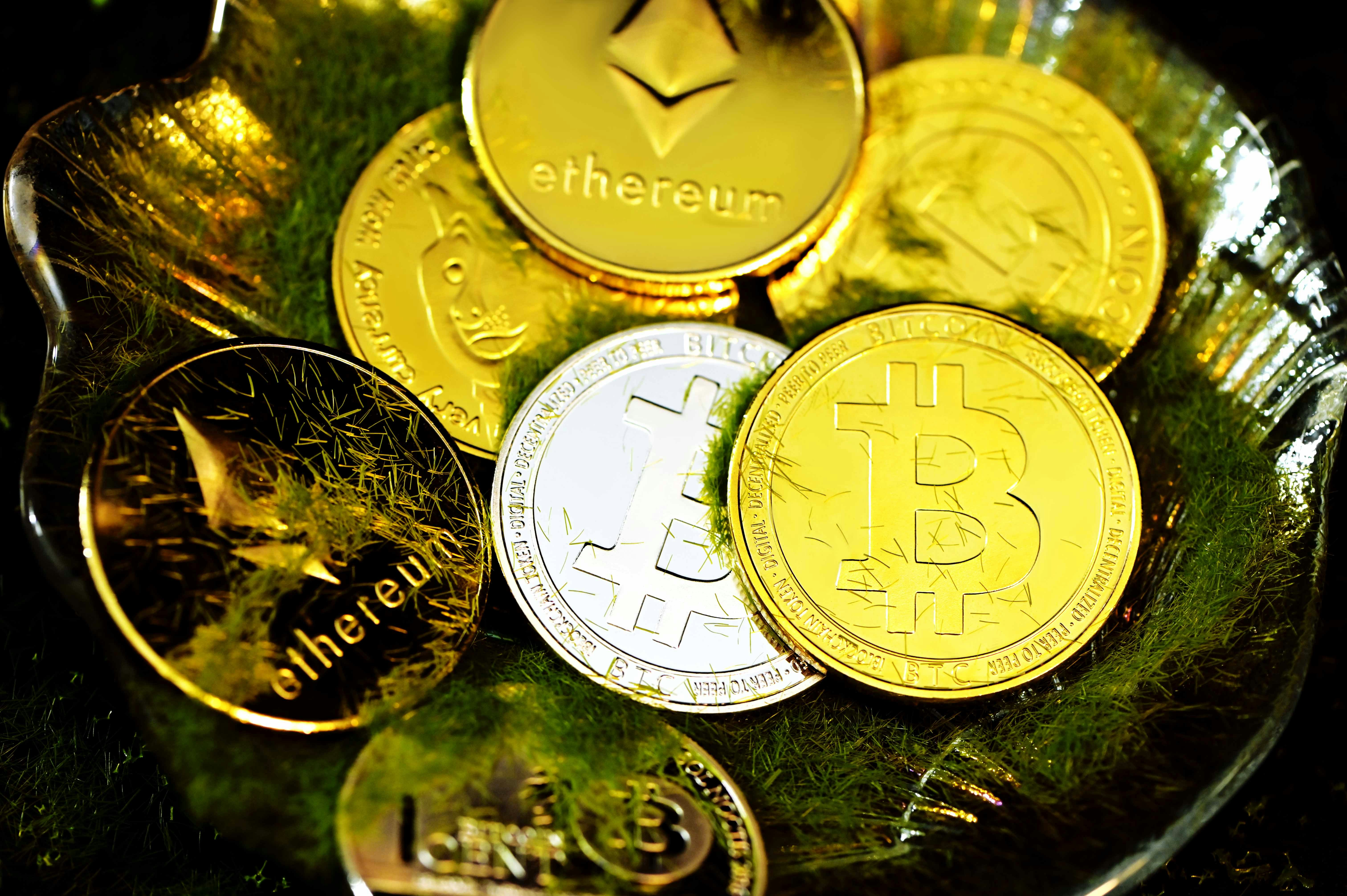 Trump's Crypto Dinner: An Evening of Luxury and Market Fluctuations