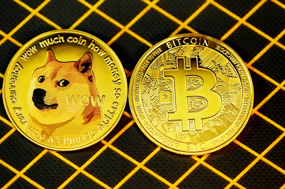 Shiba inu coin