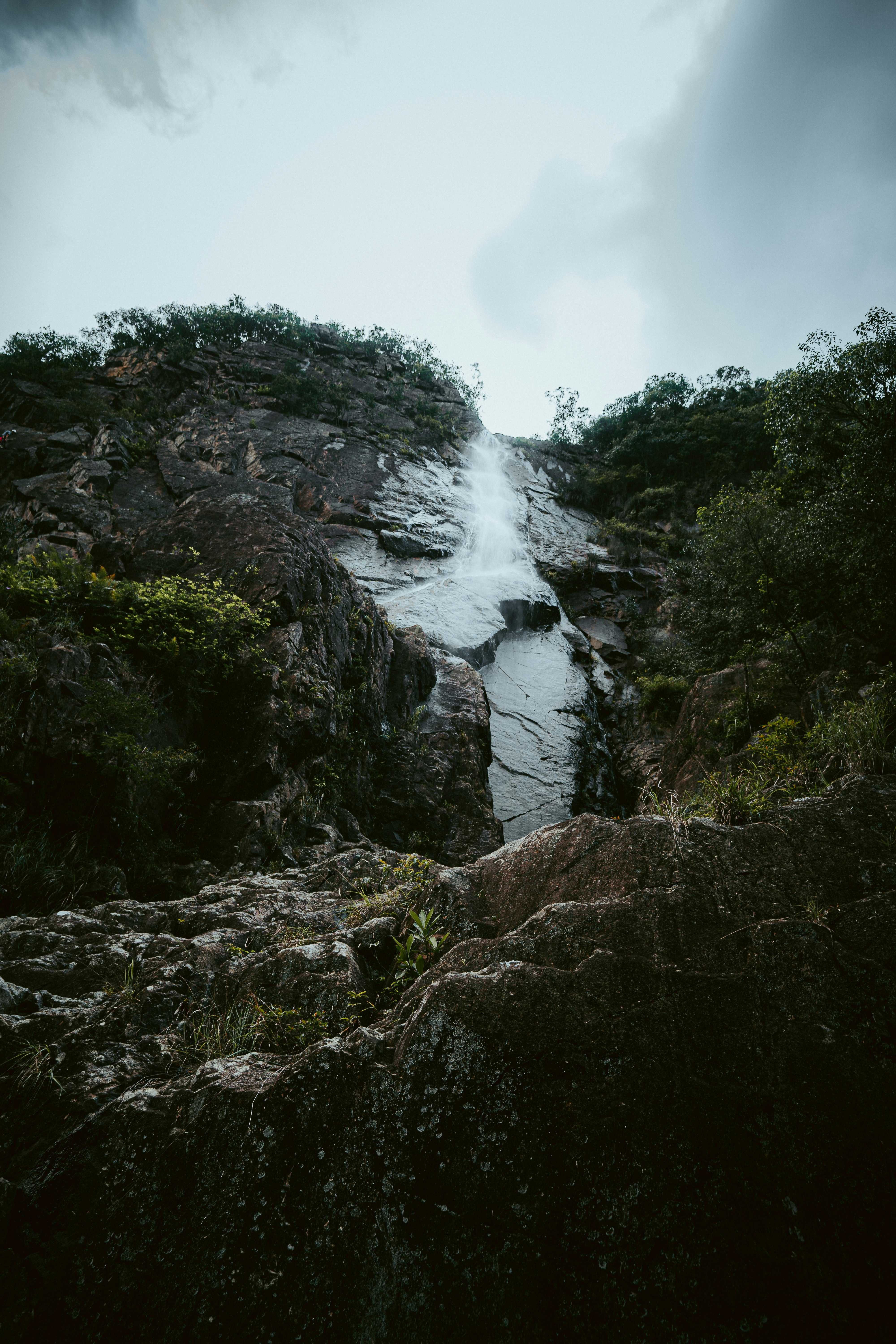 water falls between green trees under white sky during daytime