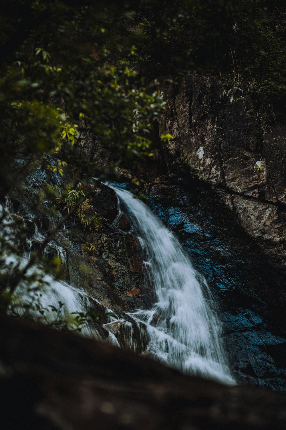 L’eau tombe dans la forêt