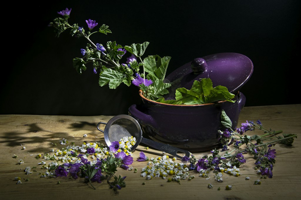 Lavender Everyday Saucepan