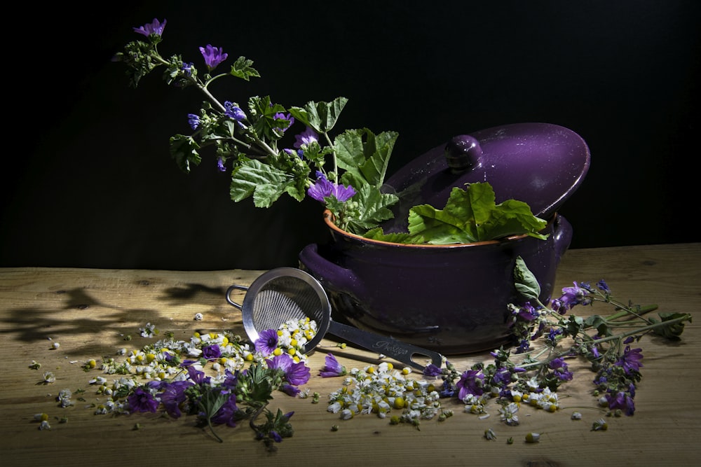 purple flowers in black pot