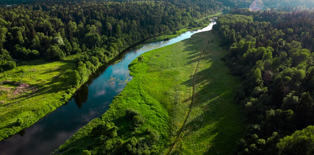 aerial view of green grass field and river