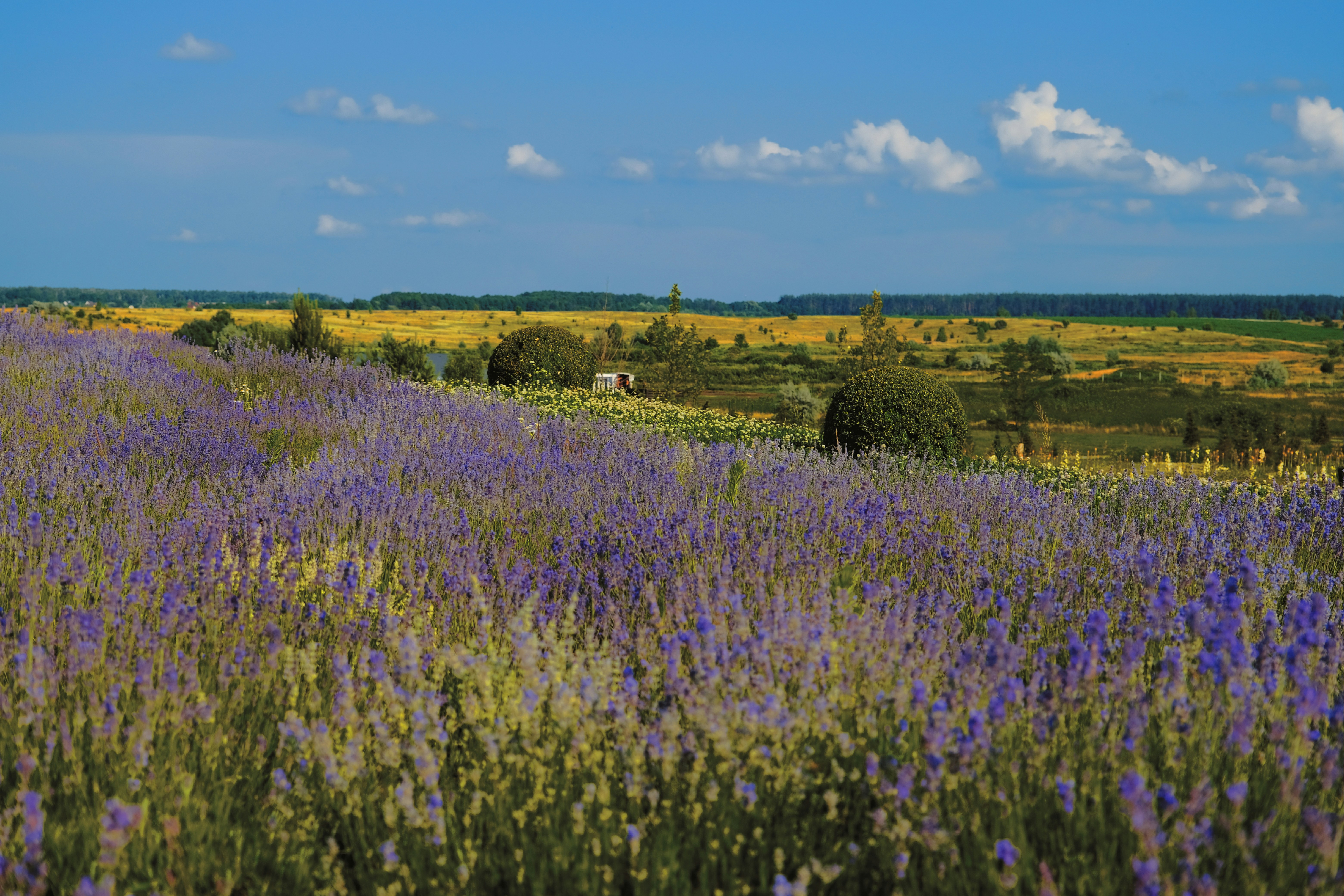 Photo by egorkomarov