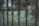 Wrought iron fence featuring circular designs in the foreground, with a blurred view of a lush garden and trees in the background.
