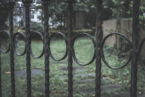 A sturdy iron fence surrounding a garden, blending strength with artistic design.