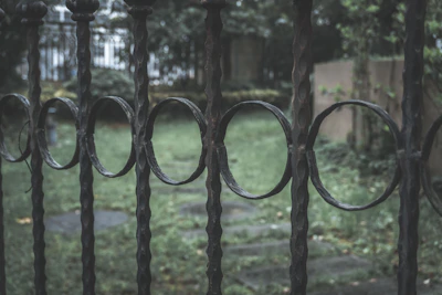 Wide shot of a garden bordered by a beautifully crafted iron fence with ornate details