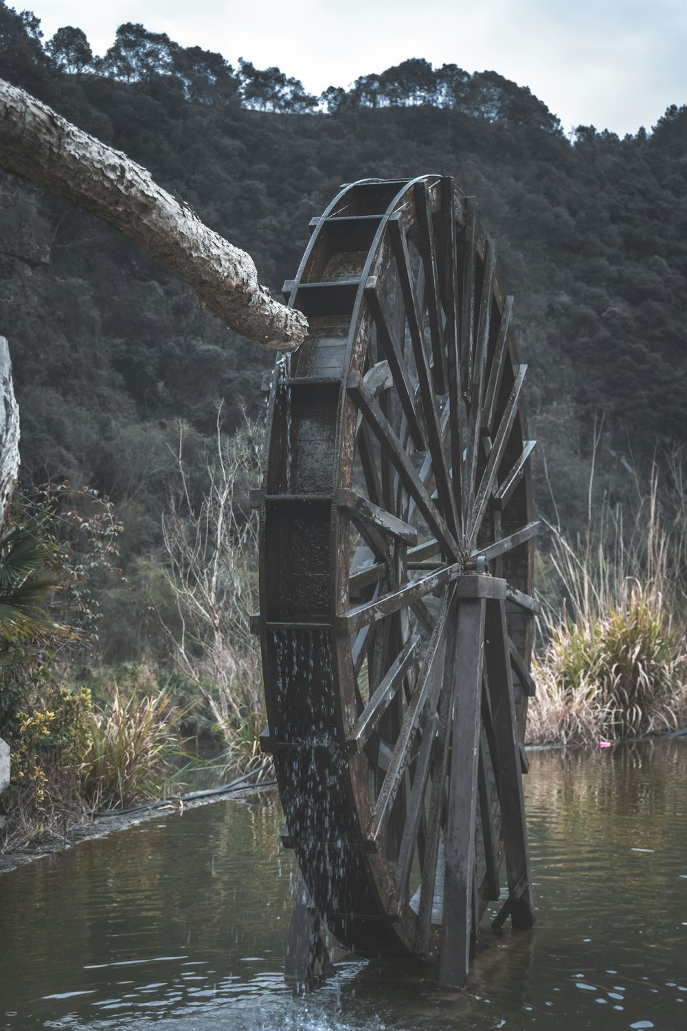 Puente de madera marrón sobre el río