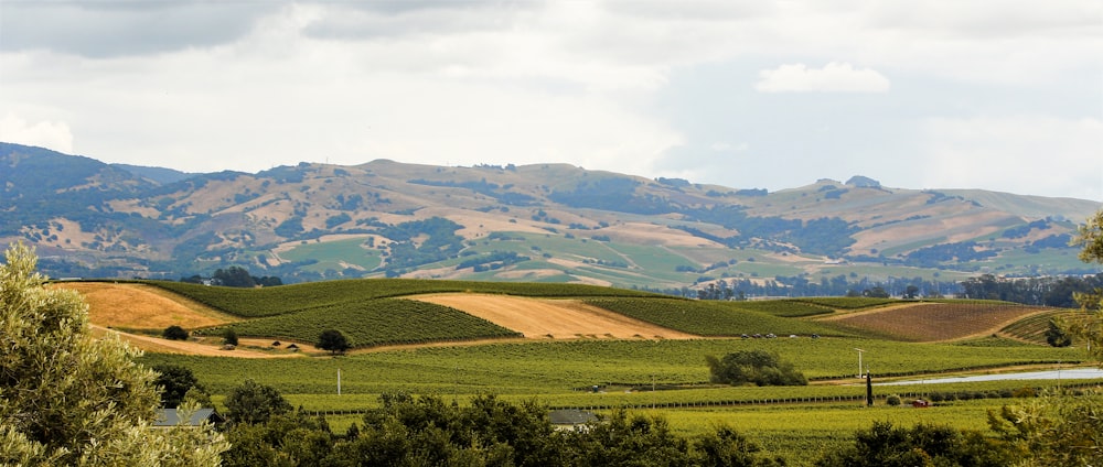 green grass field near mountain during daytime