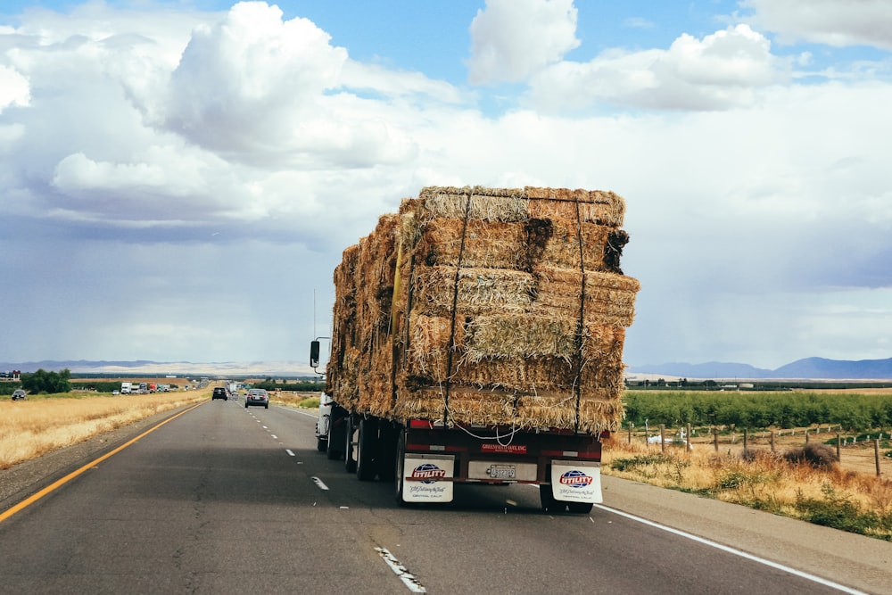 brown hays on truck during daytime