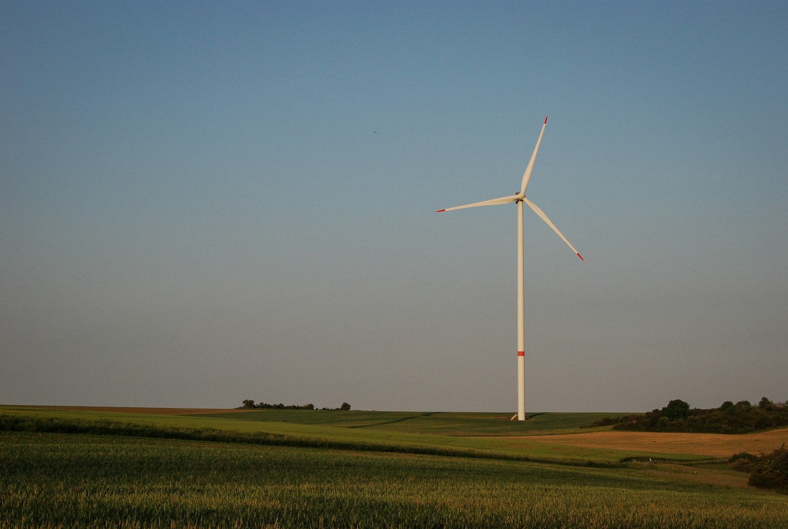 Wind turbine in green field