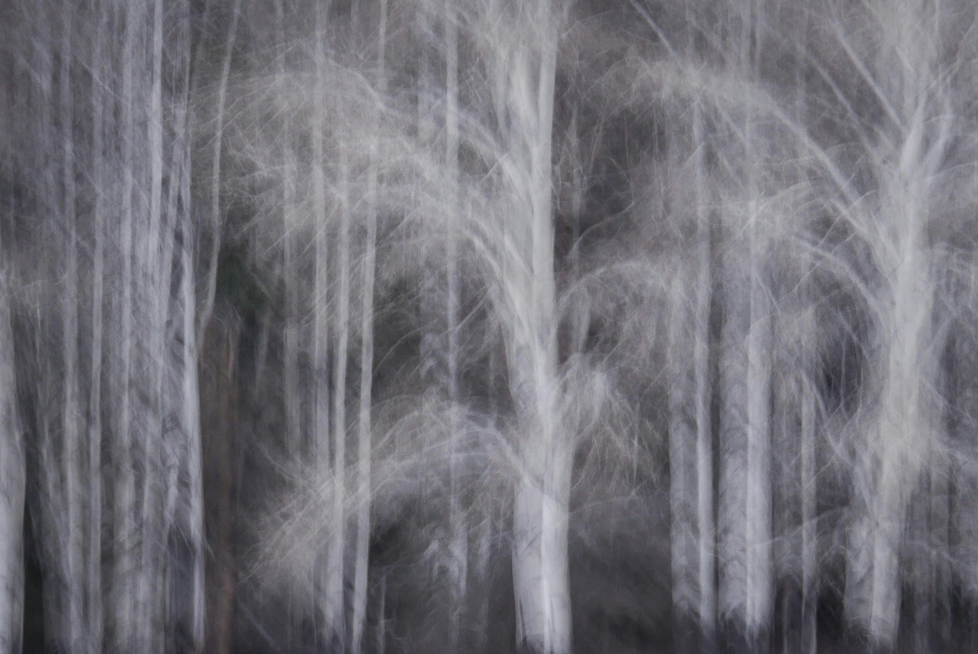 Photo by lmn_fotografie