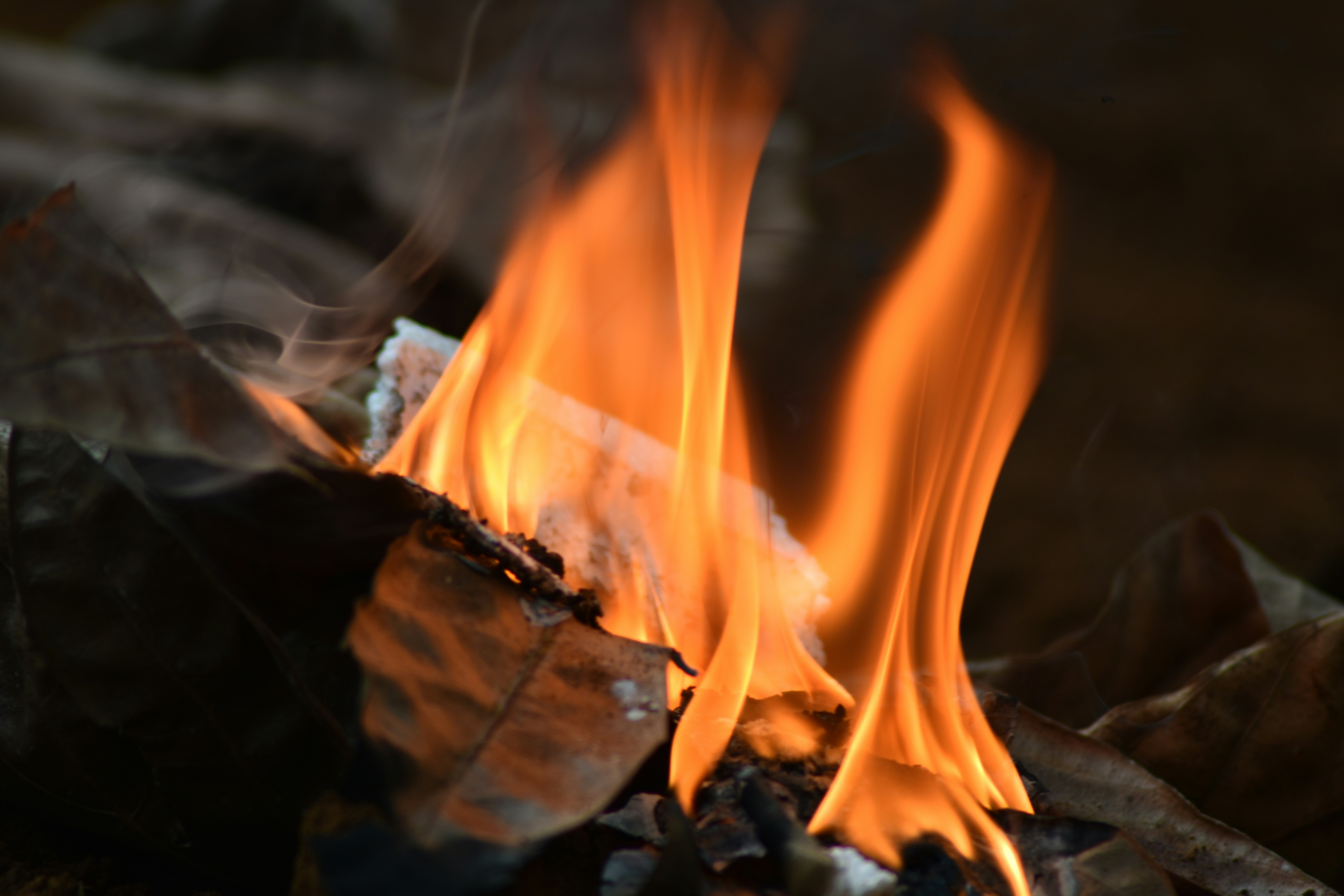 Photo by warungkangabuy1970