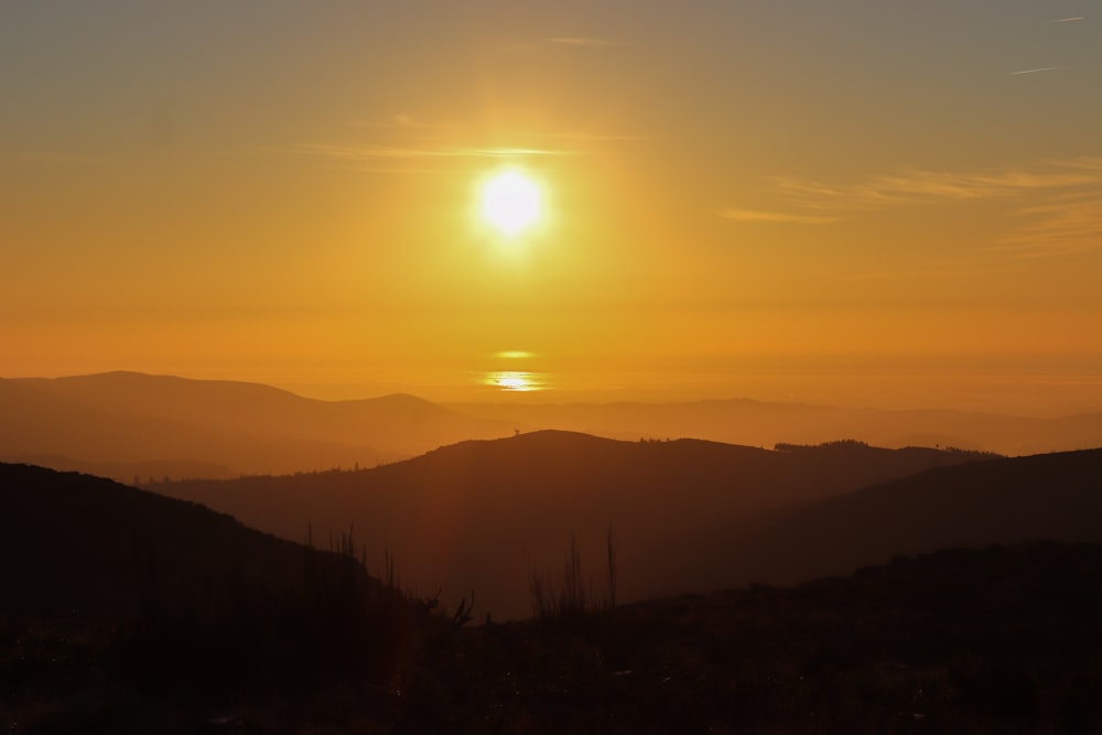 Silueta de árboles durante la puesta del sol