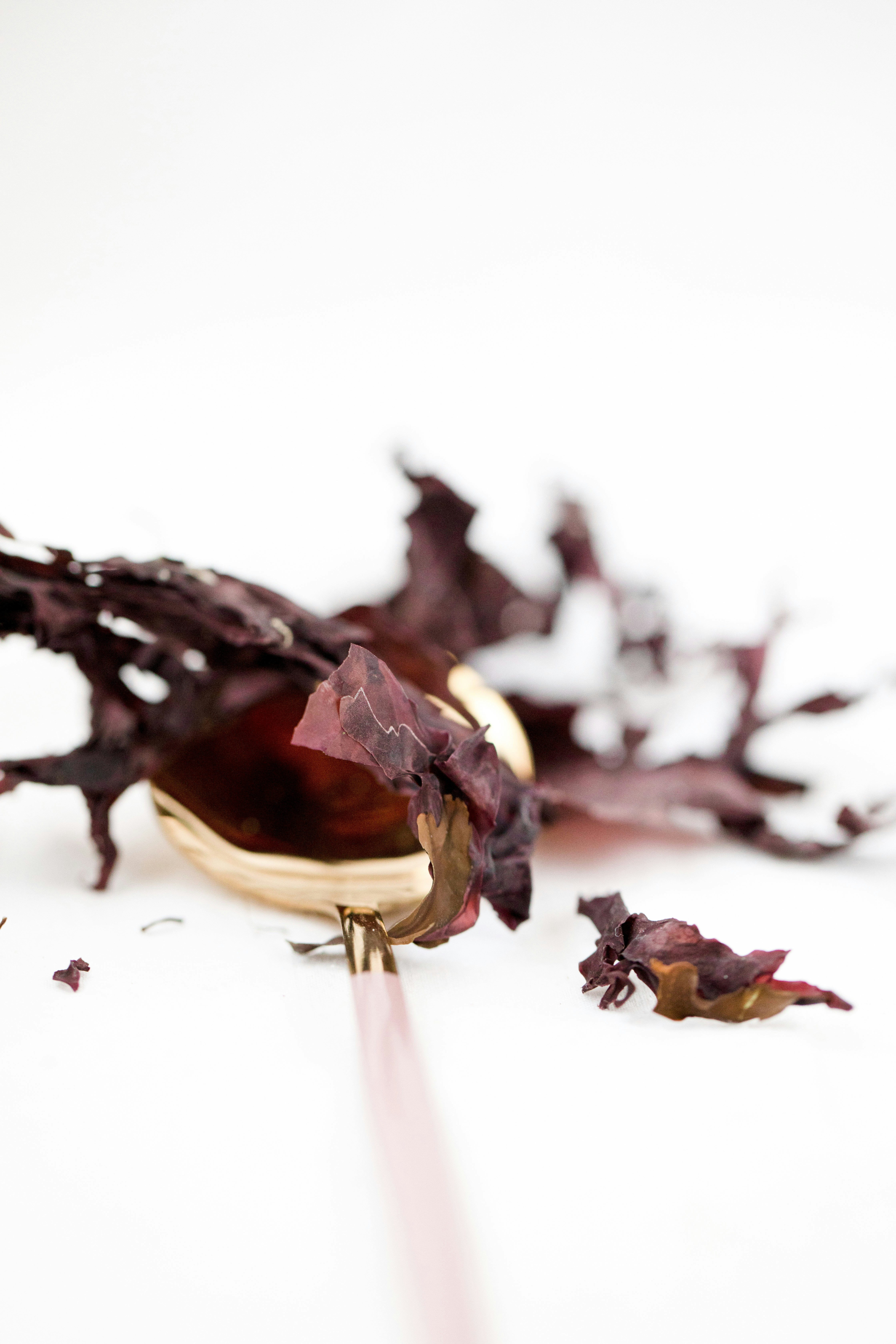 High-Oxalate Foods And Their Nutritional Benefits