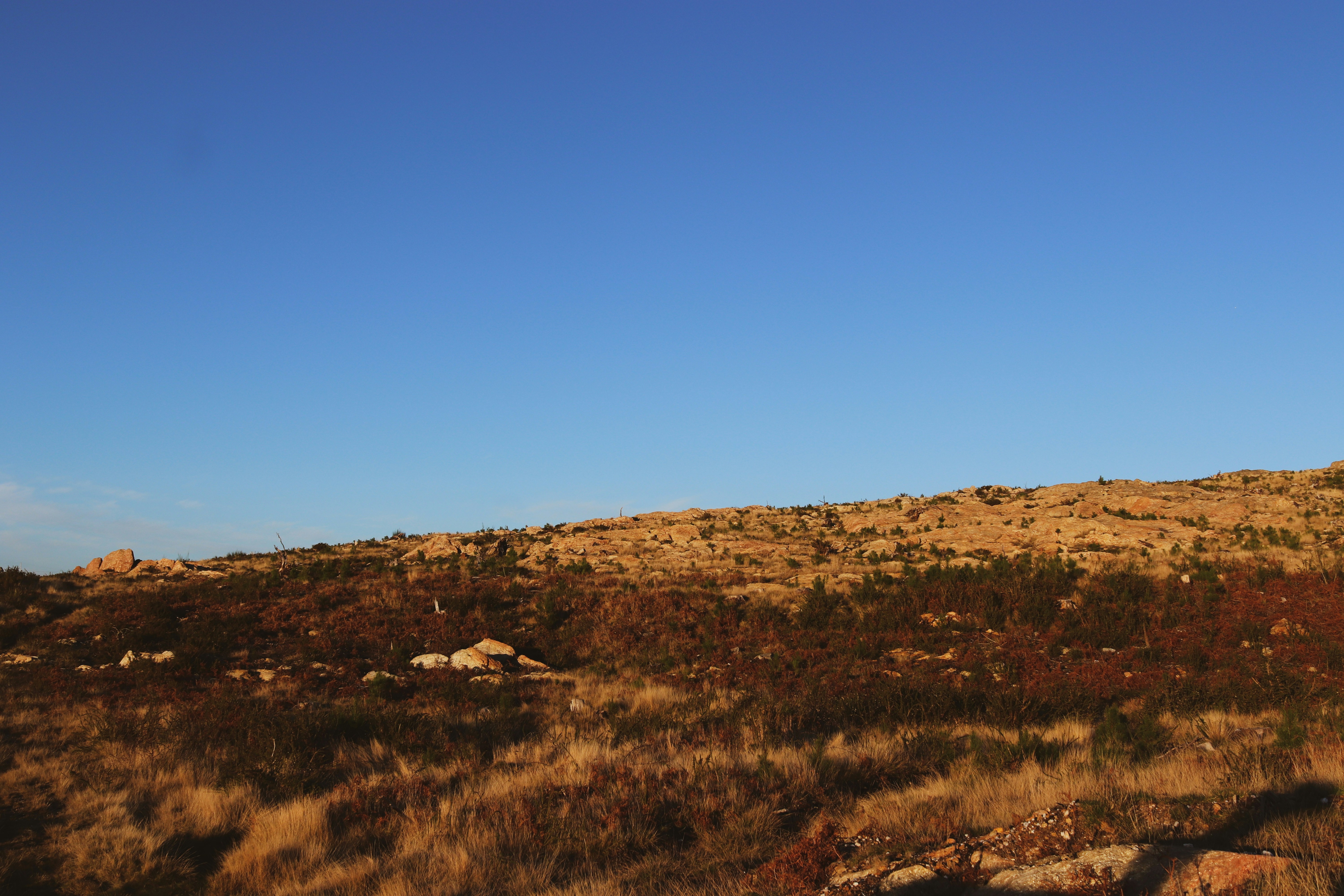 Photo by anafsvieira