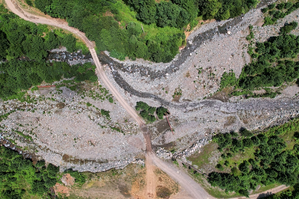 aerial view of green trees and river