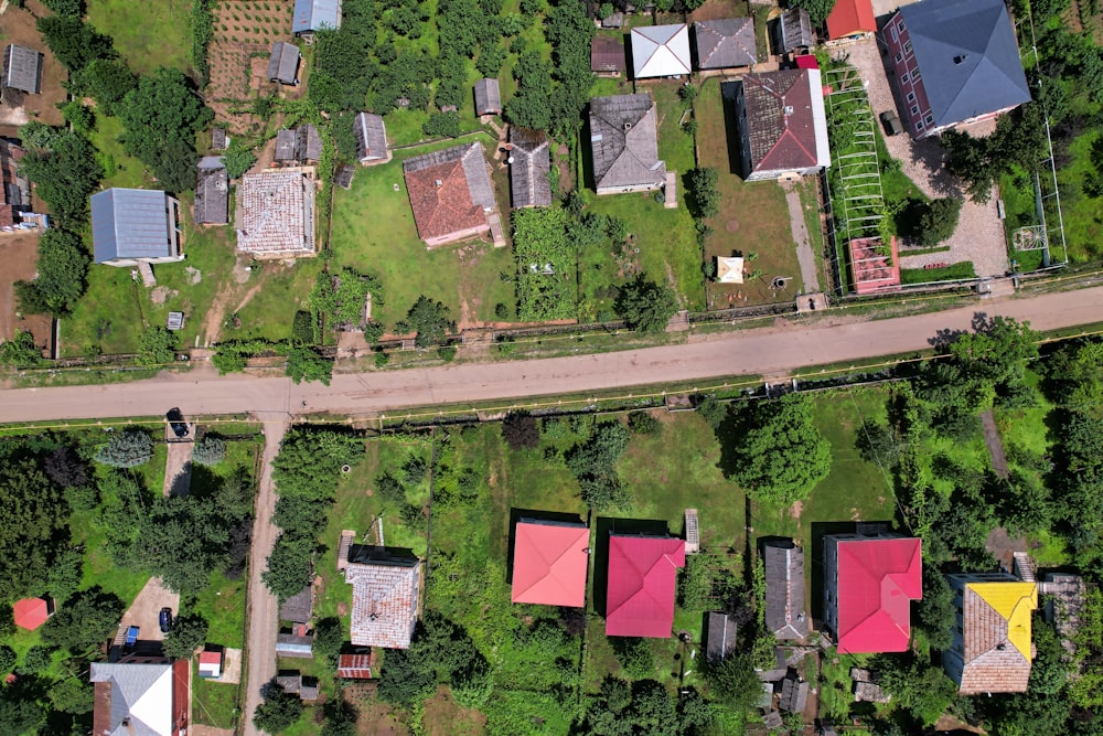 aerial view of houses and trees