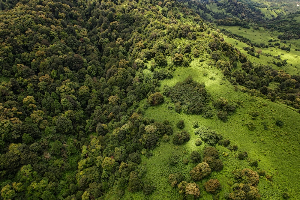 green grass covered hill during daytime