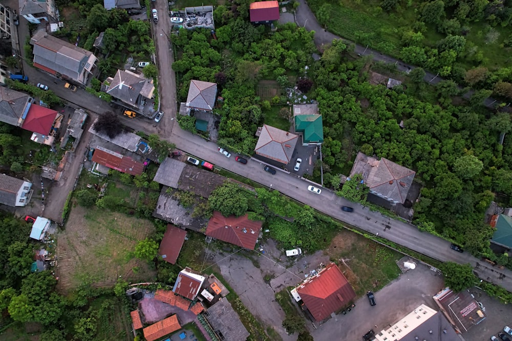 aerial view of green trees and houses