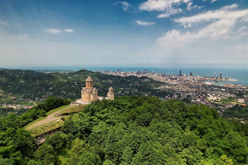 green trees near body of water under blue sky during daytime