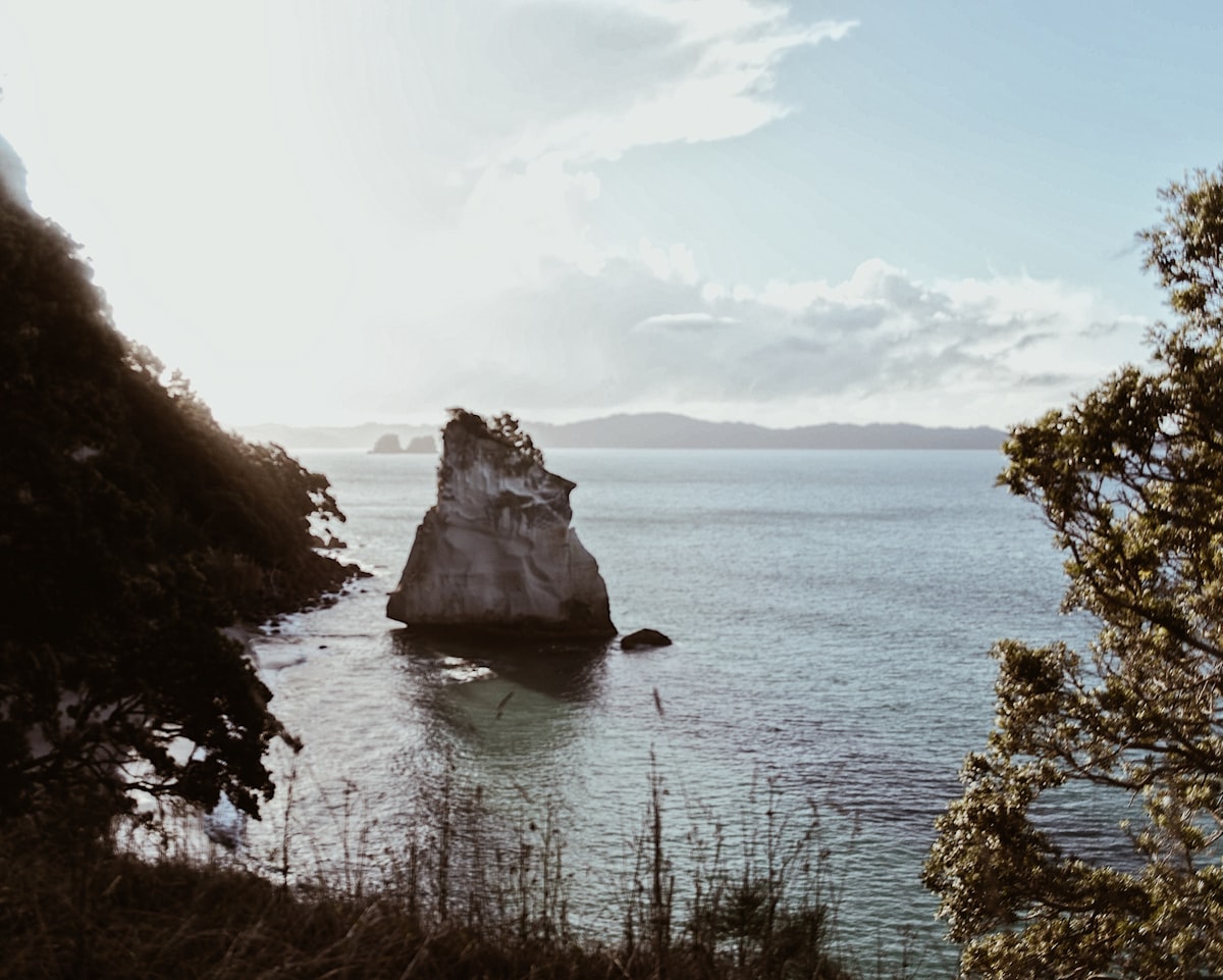 New Zealand tour highlights